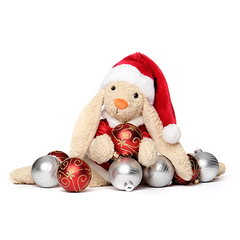 Kerst in Ronald McDonald Huis Emma