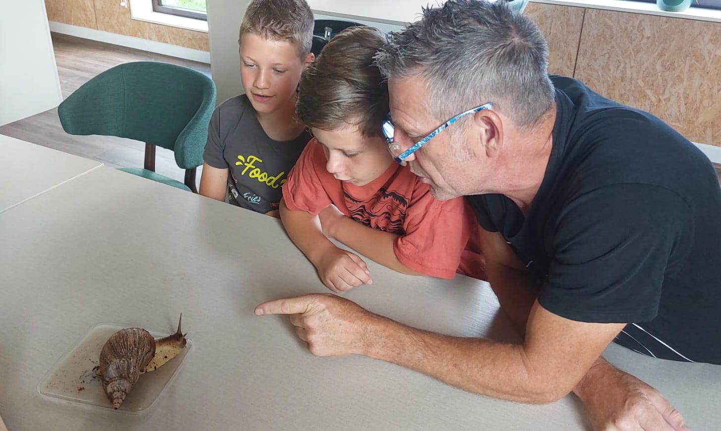 Kennismaken met Reptielen & Amfibieën - Repticura